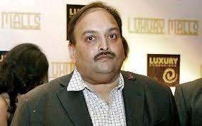 Juvenile justice board (surat) member: India In Touch With Dominica On Mehul Choksi S Repatriation The Hindu