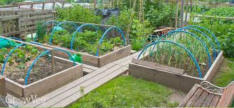 Now i have my dream garden thanks to cardboard and mulch! No Till Gardening An Easier Way To Grow