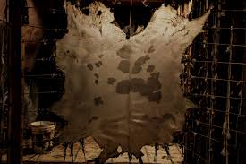 Image result for pergamen