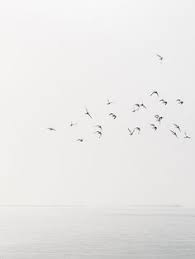 We did not find results for: 650 Grey Ideas Favorite Color Grey Rainy Day