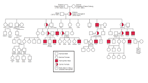 When victoria was born in 1819, there were no outward signs of hemophilia in the british royal family. Solved Hemophilia Is An X Linked Recessive Disorder Chara Chegg Com