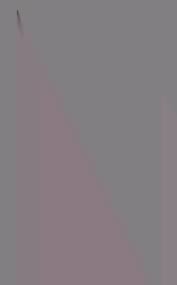 Dighton rock; a study of the written rocks of New England