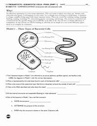 Prokaryotes Bacteria Worksheet Answers Fresh Model 3 Structural Parisons In 2020 Worksheets For Kids Cells Worksheet Worksheets