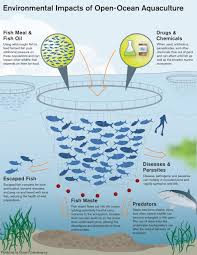 Aquaculture Predator Resistant Cages Fish Farming Aquaculture Hydroponics