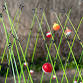 Kids’ Fishing Derby