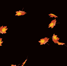 The best gifs for falling leaves. Falling Leaves Gifs Get The Best Gif On Gifer