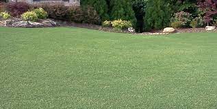 Maybe you would like to learn more about one of these? 360sod Sod Turf Grass Sales And Service In The State Of Georgia