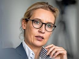 Wenn es um das schröpfen der eigenen bürger geht, dann ist deutschland weltweiter spitzenreiter. Die Widerwartigen Worte Der Alice Weidel Zum Stuttgarter Mord