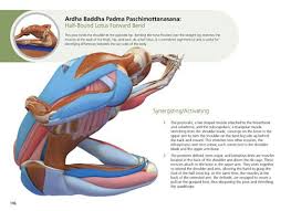 Learn different types of hatha yoga positions, hatha yoga meditation hatha yoga exercises emphasize on physical exercises to withdraw it from external objects. The Key Poses Of Yoga Scientific Keys Volume 2 Gym Workout For Beginners Yoga Hatha Yoga