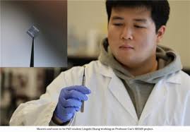 Articles by Sara Bauman