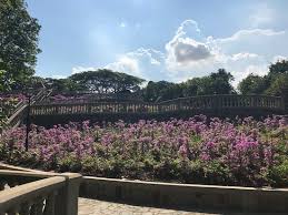 From wikipedia, the free encyclopedia. Telok Blangah Hill Park Singapore 2021 All You Need To Know Before You Go With Photos Tripadvisor
