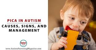 Image result for Pica