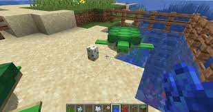 Eggs will be placed in clusters. Minecraft How To Breed Turtles