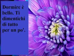 Buonanotte 150 Immagini D Autore Divertenti E Belle Da Dedicare Aforismi E Citazioni Regalare un fiore è un gesto tra i più romantici e significativi. divertenti e belle da dedicare