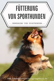 Wedelladchen Hundesport Shop Trainingstagebucher Spieli Hunde Ernahrung Hunde Hundeernahrung
