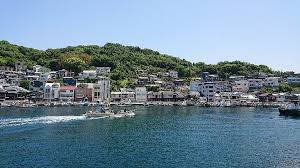 Image result for Sehima