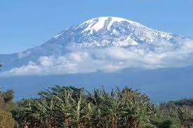 Dale mihalko of meridian bull, in st. Tanzania News Now News From Tanzania Now Ministries Officials Denied On March 12 That He Had Fallen Ill And On Monday Romantising Reality