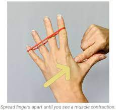 Get in the habit of using the hand exerciser as part of your weekly workout to increase your grip strength. Top 5 Hand Strengthening Exercises For Stronger Hands Virtual Hand Care