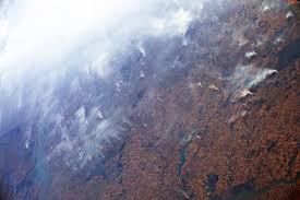 We did not find results for: Role Of Amazon As Carbon Sink Declines Nature Study World Meteorological Organization