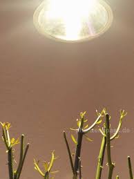 Propago Cob 60 Grow Led Reflektor Selber Bauen Pflanzenspass De