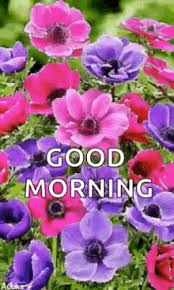 Allsang på grensen / allsang pa grensen archives w. Good Morning Flowers Gifs Tenor