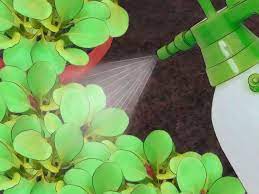 The fantastic pest control team shares the most widely used pest control methods in the industry. How To Control Pests With Pictures Wikihow