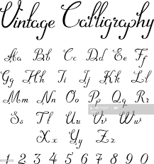 Lowercase cursive letters i, j, p, t, u, and w are tree letters. Stock Illustration Vintage Calligraphic Script Font Linear Vector Handmade Calligraphy Typeface Letter Lettering Alphabet Hand Lettering Alphabet Lettering