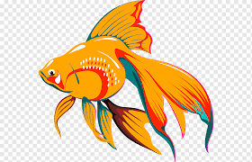 Betta fish tank mates are certainly a possibility without a doubt. Fish Goldfish Koi Aquarium Siamese Fighting Fish Guppy Tropical Fish Drawing Goldfish Koi Fish Png Pngwing