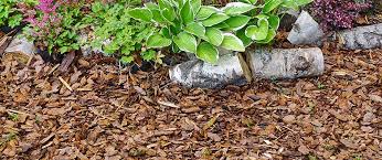 Deciding on whether to use lava rocks or an organic mulch, such as bark, in the landscape depends on the types of plants you are growing, the amount of upkeep preferred and your aesthetic preferences. Top 4 Mulch And Rock Types For Landscape Beds Spider Lawn Landscape Blog