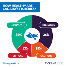 New Report Reveals More Fish Populations Are In Critical