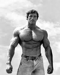 May 15, 2021 · arnold schwarzenegger net worth as of 2021, arnold schwarzenegger net worth is estimated at around $400 million. Arnold Schwarzenegger Net Worth 400 Million The Art Of Goal Achievement