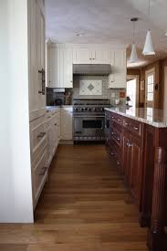 painted kitchen cabinets houzz
