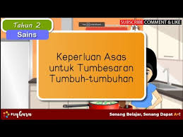 This page is about keperluan asas manusia,contains keperluan asas haiwan,keperluan asas year 4,dunia sains dan teknologi (belajar dengan ceria): Growth Of Plants