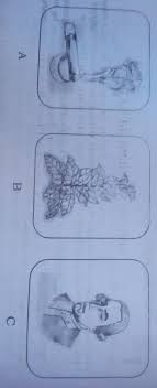 2 Sino Kaya Ang Nasa Larawan Cp Ano Ang Koneksyon Niya Sa Monopolyo Satabako Noong Panahon Ng Brainly Ph Sa loob ng matagal na pananakop ng mga espanyol na umabot ng tatlong daan at tatlumpu't tatlong taon maraming pagbabago ang naganap sa mga paraan ng pamumuhay ng mga pilipino.nagsimulang magsuot ng mga kasuotang. koneksyon niya sa monopolyo satabako