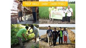 Obat Tanaman Semangka Obat Untuk Tanaman Semangka Obat Keriting Tanaman Semangka Obat Hama Tanaman Semangka Obat Penyubur Tanaman Kolam Ikan Tanaman Obat Alami