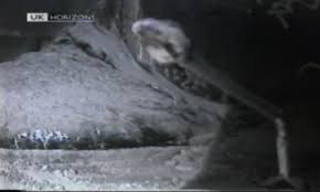 The elephant's foot was created when the reactor melted. Endangered Earth Chernobyl Meltdown