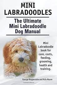 Mini Labradoodles The Ultimate Mini Labradoodle Dog Manual Miniature Labradoodle Book For Care Costs Fee Labradoodle Dogs Labradoodle Labradoodle Miniature