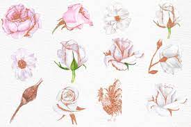 Rose gold color flower bunch vector illustration. Rose Gold Watercolor Flowers Clipart Floral Clipart White Flowers Watercolor Roses Grafik Von Lecoqdesign Creative Fabrica