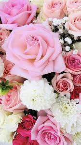 We did not find results for: Wholesale Flowers In 2021 Wholesale Flowers Wholesale Flowers Online Wholesale Fresh Flowers