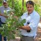 Florida Land Steward Field Day: Forest Plant Identification