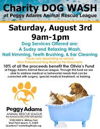 Maybe you would like to learn more about one of these? 48 One Of Palm Beach Florida Animal Shelters In West Palm Beach Florida Ideas West Palm Beach Florida Animals Palm Beach Florida
