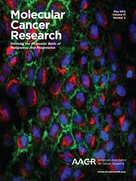 Mauricio reginato diane reginato assessed land value: Mtor Myc Axis Regulates O Glcnac Transferase Expression And O Glcnacylation In Breast Cancer Molecular Cancer Research