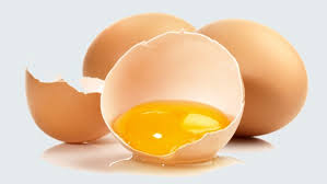 Nehmt einen topf mit wasser und legt das ei hinein. Bio Freiland Bodenhaltung Eier Kennzeichnungen Verstehen Ndr De Ratgeber Kochen Warenkunde