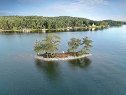 Logan martin reservoir is located in east central alabama on the coosa river approximately 30 miles east of birmingham, alabama. Alabama Power Volunteers Partner To Save Logan Martin S School Bus Island Alabama Newscenter