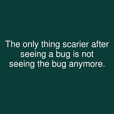The Only Thing Scarier After Seeing A Bug Is Not Seeing The Bug Anymore Showerthoughts Bug Scene Seeing Sight Thoughts Bugs Shower