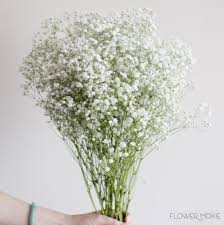 Baby S Breath Flowerdefault Title Fresh Wedding Flowers Babys Breath Flowers Bulk Flowers Online