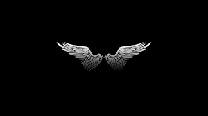 Please contact us if you want to publish an aesthetic tumblr laptop wallpaper on our site. Silver Wings Black Background Digital Art Minimalism Wings Feathers Angel Monochrome White 10 Black Hd Wallpaper Desktop Wallpaper Black Wings Wallpaper