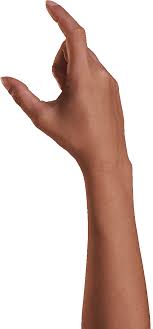 An array of two elements, which are initially both null (representing no finger). Gestures Procreate Handbook