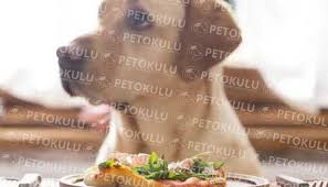 Ev Yapimi Kopek Mamalari Neyden Yapilir Pet Okulu