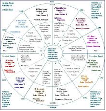 Chart Showing Signs Houses Etc Astrology Chart Houses